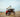 Why do ATVs have thumb throttles vs twist throttles?