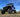 Best Suspension for my Yamaha ATV