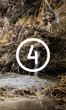 Featured on the 'Become Affiliate' page, the image depicts the number 4 in the center, representing the fourth and final step to become an affiliate with Perfex. The end of the mud hole and branches are visible in the photo.