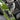 PERFEX billet aluminum shift knob installed on Kawasaki Brute Force 650 and 750 ATV.